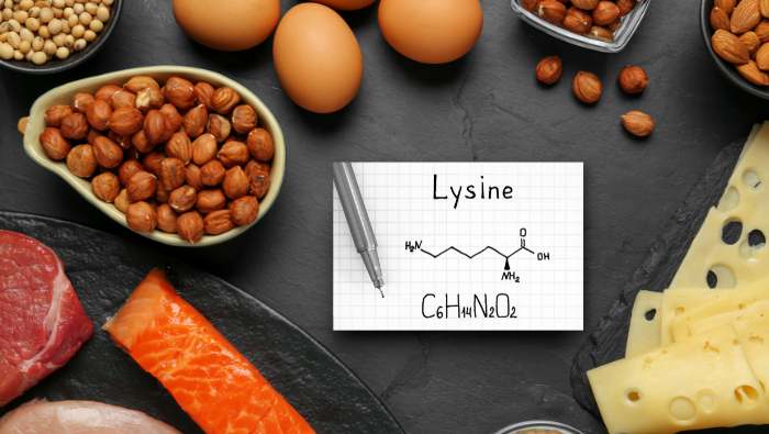 Can L-Lysine Improve Anxiety, Depression, and Stress?