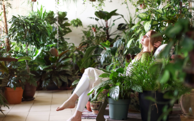 Do Plants In Your Bedroom Help You Sleep?